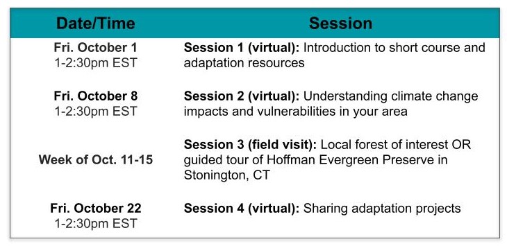 Table formatted version of the course schedule