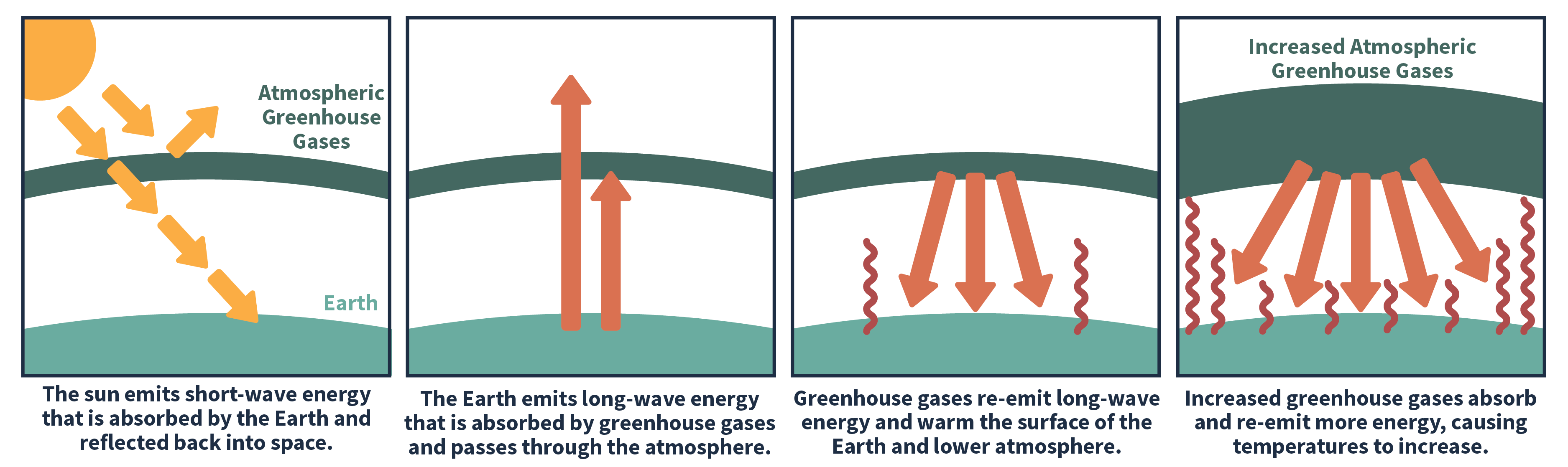Greenhouse gas effect illustration in 4 panels. Panel 1: The sun emits short-wave energy that is absorbed by the Earth and reflected back into space. Panel 2: The Earth emits long-wave energy that is absorbed by greenhouse gases and passes through the atmosphere. Panel 3: Greenhouse gases re-emit long-wave energy and warm the surface of the Earth and lower atmsphere. Panel 4: Increased greenhouse gases absorb and re-emit more energy, causing temperatures to increase. 
