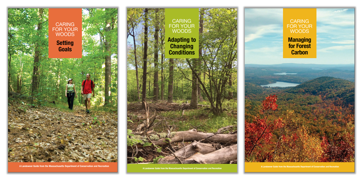 Cover of MA caring for your woods guides