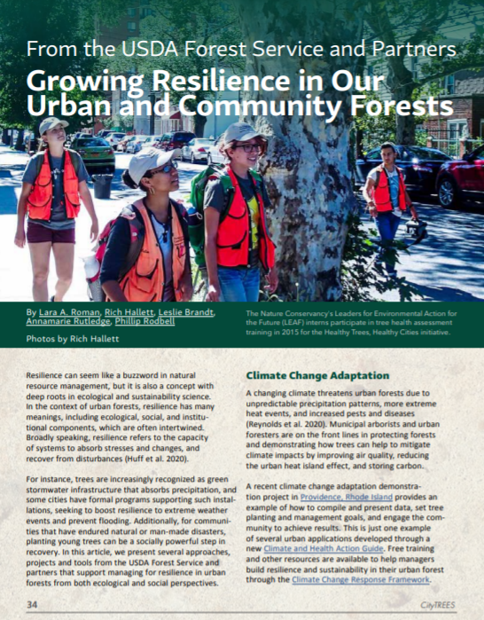 Growing resilience in our urban and community forests