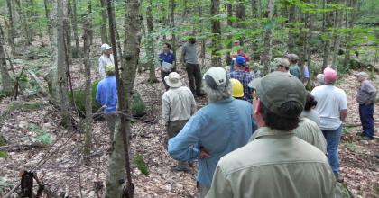 a group of foresters in the woods
