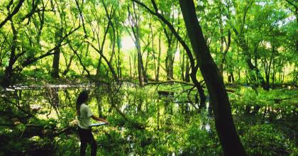 Manager with clipboard in a floodplain forest at Crosby Farm Regional Park 