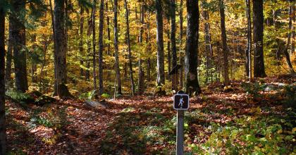 Ottawa National Forest
