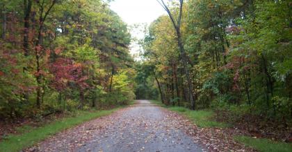 Shawnee National Forest