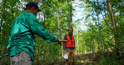two forest scientists discuss a down log