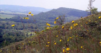 Prairie South, Credit: Todd Ontl