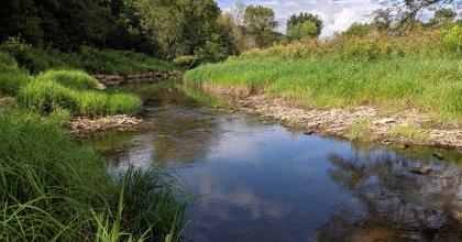 Driftless Region in SE MN; Credit: Annamarie Rutledge