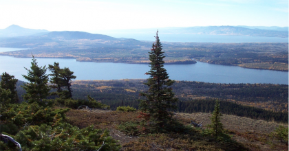 Photo: Sue Grainger, JPRF 