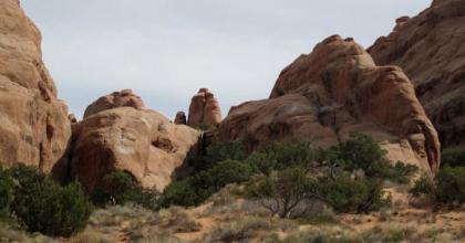 Photo: Courtney Peterson 