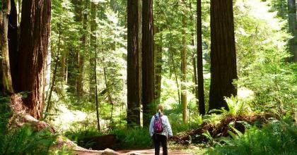 Woman walking in Six Rivers woods. Image: Recreation.gov