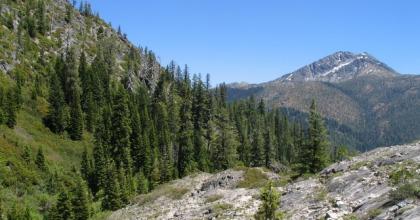 View from hillside. Image: USFS