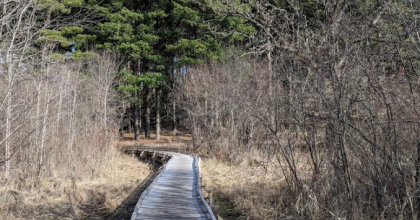Boardwalk on the Scuppernong Prairie SNA