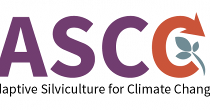 ASCC Logo 