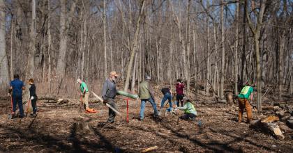 Tree planting efforts People planting trees in the woods