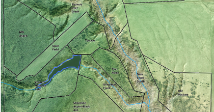 Tree planting and protection - For tree planting purposes the  forest is divided into 10 subareas of different tree cover Map of the project area divided into forest sub areas for management