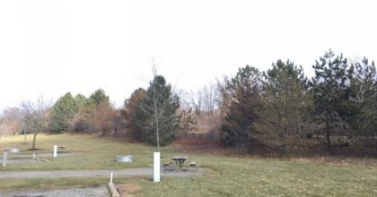 grassy area with picnic tables, fire rings, parking spaces, and newly planted trees.