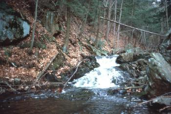 a small waterfall in the forest