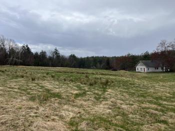 Photo of open field with surrounding forest
