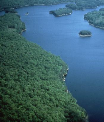 Aerial photograph of the Chestnut Hill area.