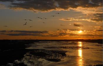 The Platte River at the Rowe Sanctuary. Photo: Nebraska Audubon 