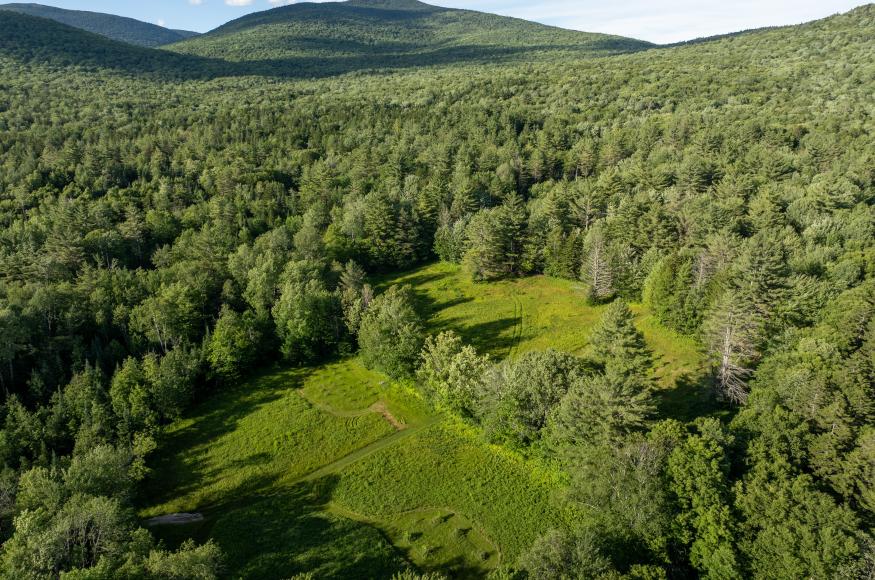 A birds eye view of the patch cuts where trees have been planted