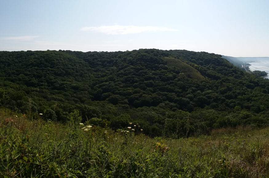 Rush Creek SNA 1