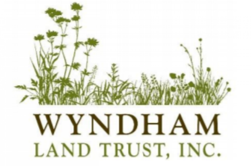 Wyndham Land Trust, Inc. logo