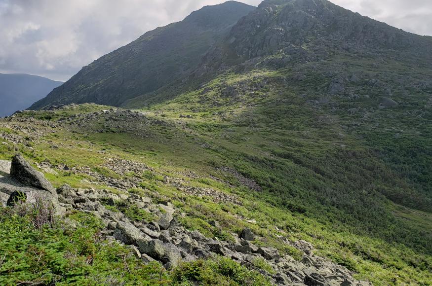 Alpine zone of Mt. Adams