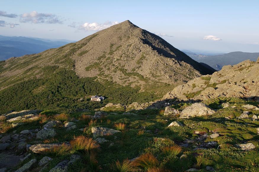 Alpine zone around Madison Spring Hut