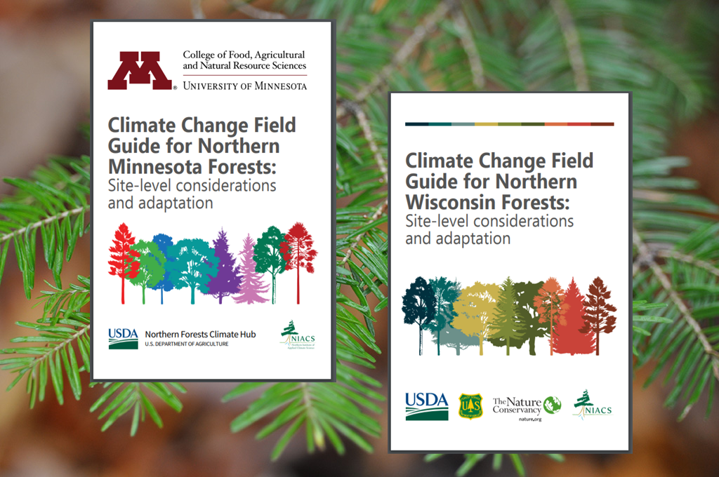 Covers of the field guides that are currently available for the Northwoods