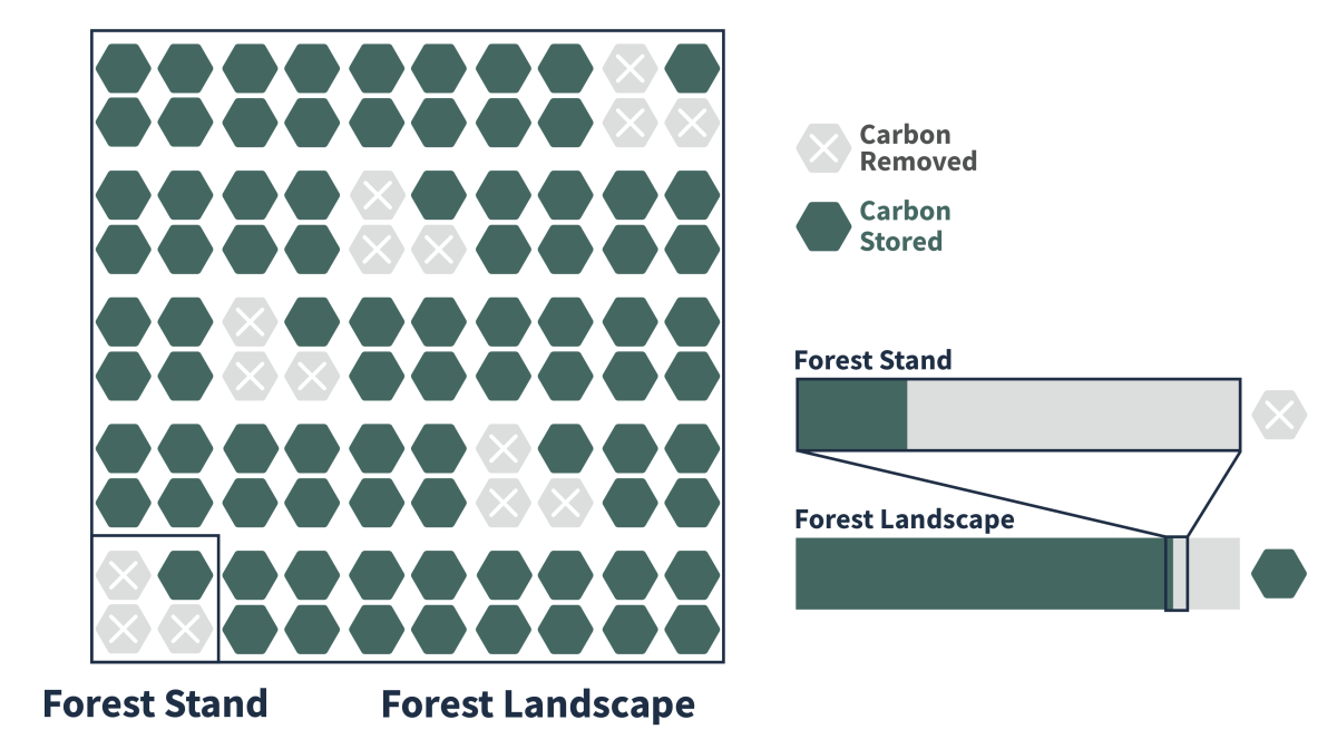 Illustration example of carbon storage in a forest stand and landscape. The forest stand illustration has 4 boxes of carbon hexagons with 3 of those shaded out as carbon removed and colored as being carbon stored. The forest landscape has 100 carbon hexagons with 15 shaded as carbon removed and 85 as carbon stored. The illustration also features a bar graph that shows 75% of the carbon at stand level removed, but only 15% at forest landscape leve.